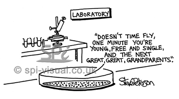 Bacteria & viruses in laboratory cartoon illustration