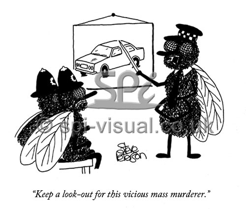 Police flies told to keep a look out for a vicious mass murder causing car